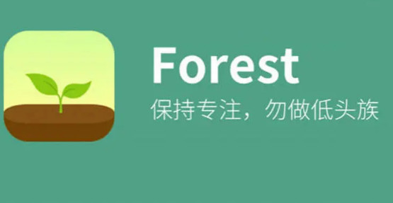 forestרעɭɾǩ